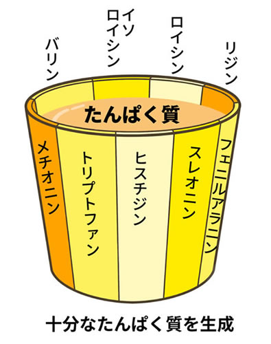 アミノ酸の桶イメージ画像