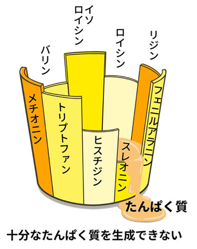 アミノ酸の桶イメージ画像